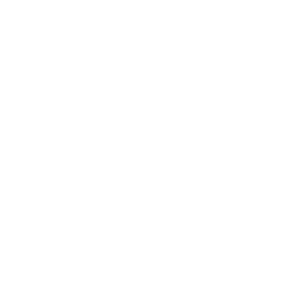 Piet Boon