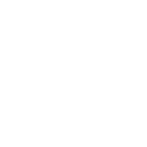 Vibia