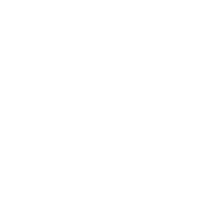 Established & Sons